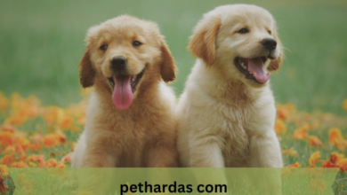 Pethardas.com