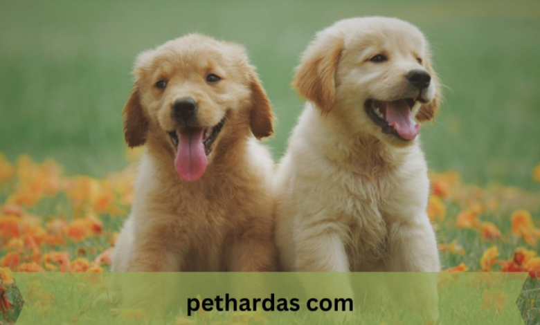 Pethardas.com